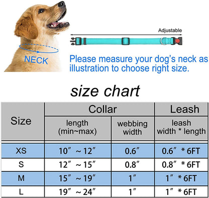 Reflective Nylon Collar