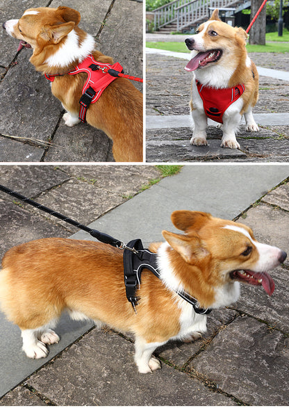 No-Pull Reflective Harness