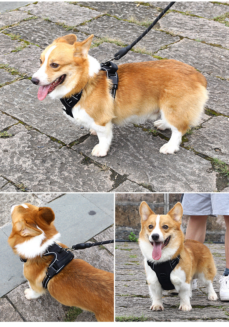No-Pull Reflective Harness