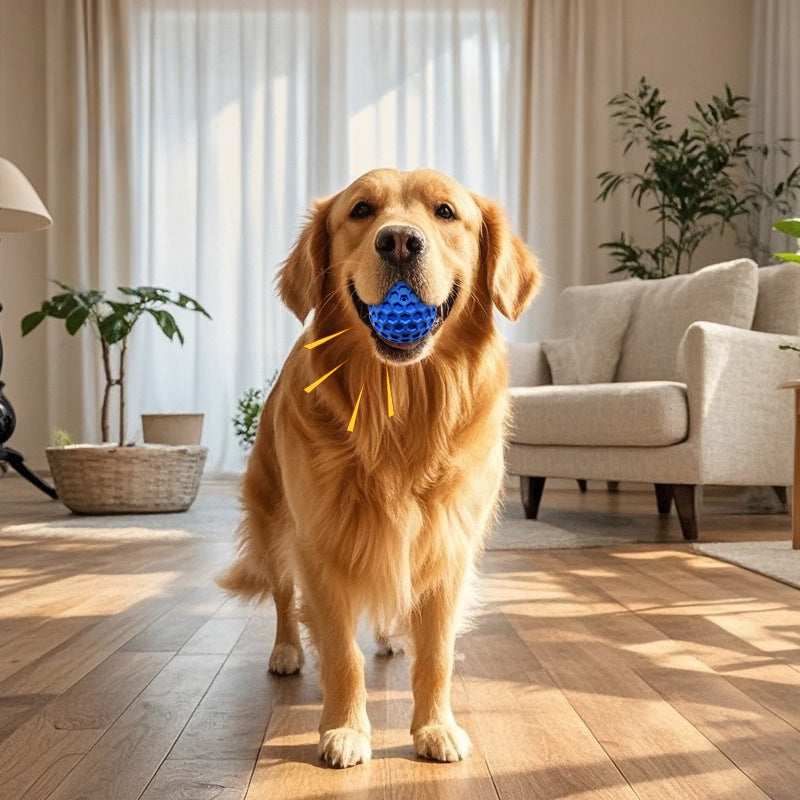 Indestructible Squeaky Ball