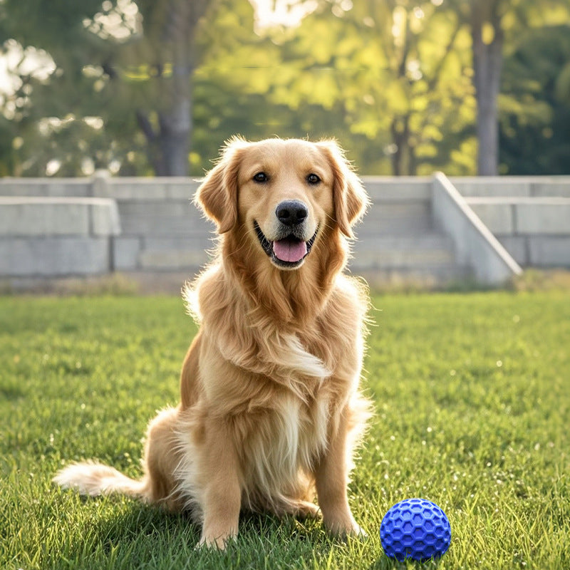 Indestructible Squeaky Ball