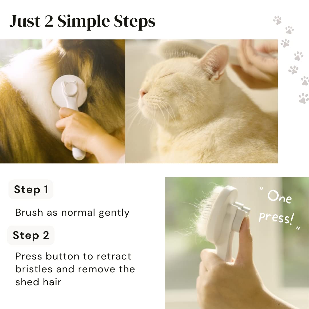 Self-Cleaning Pet Brush
