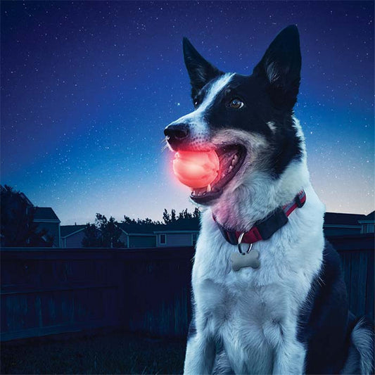 LED Glowing Ball