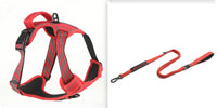 Red  set1