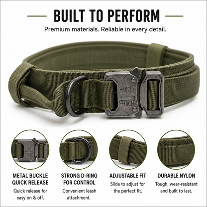 WalkGuard Collar
