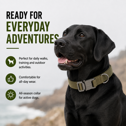 WalkGuard Collar