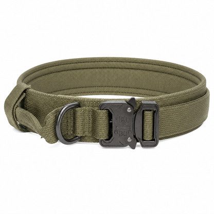 WalkGuard Collar
