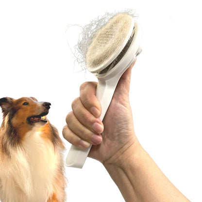 Self-Cleaning Pet Brush